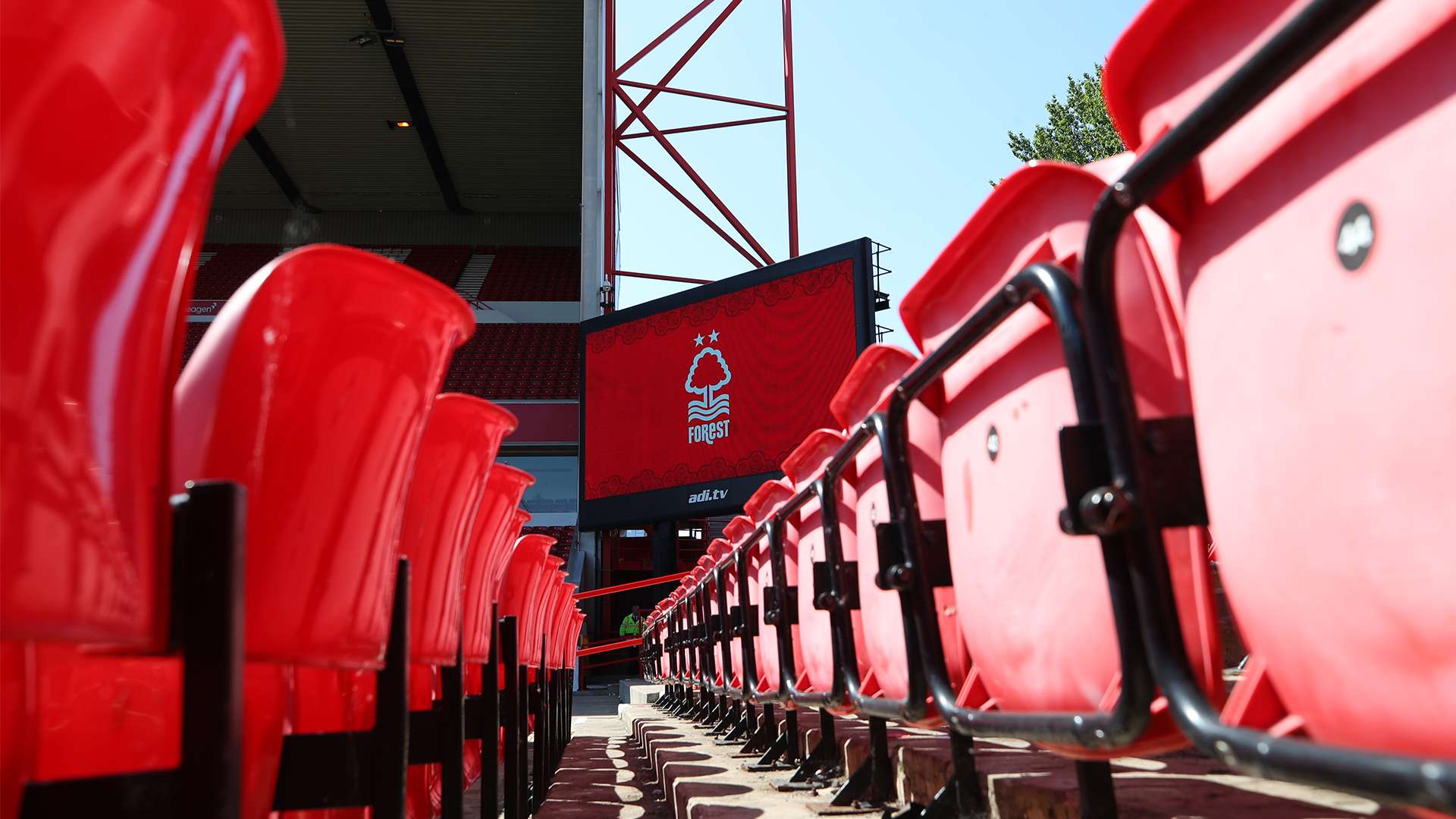 中的竞争能 中的竞争能