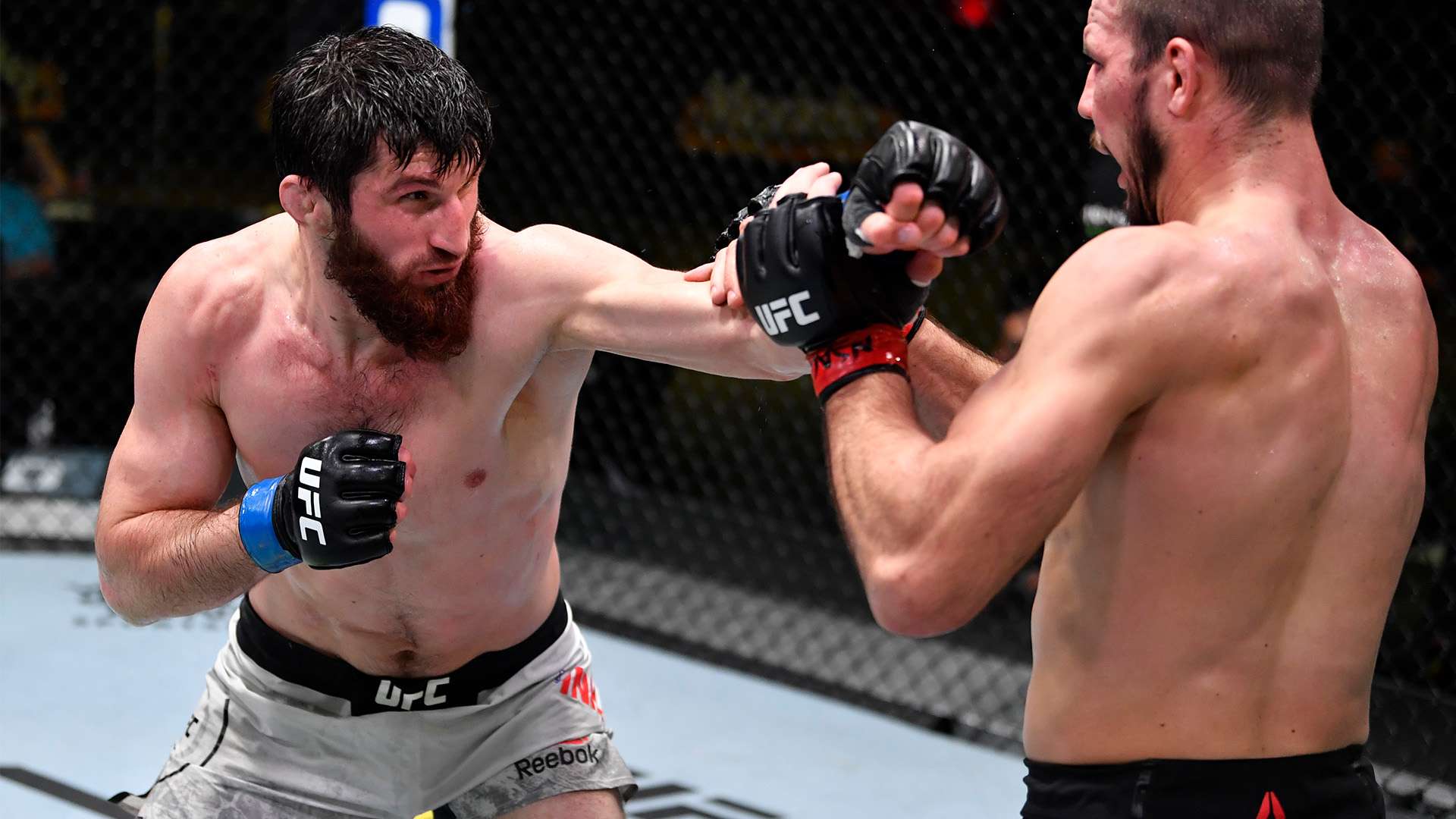 透露出了巴 透露出了巴