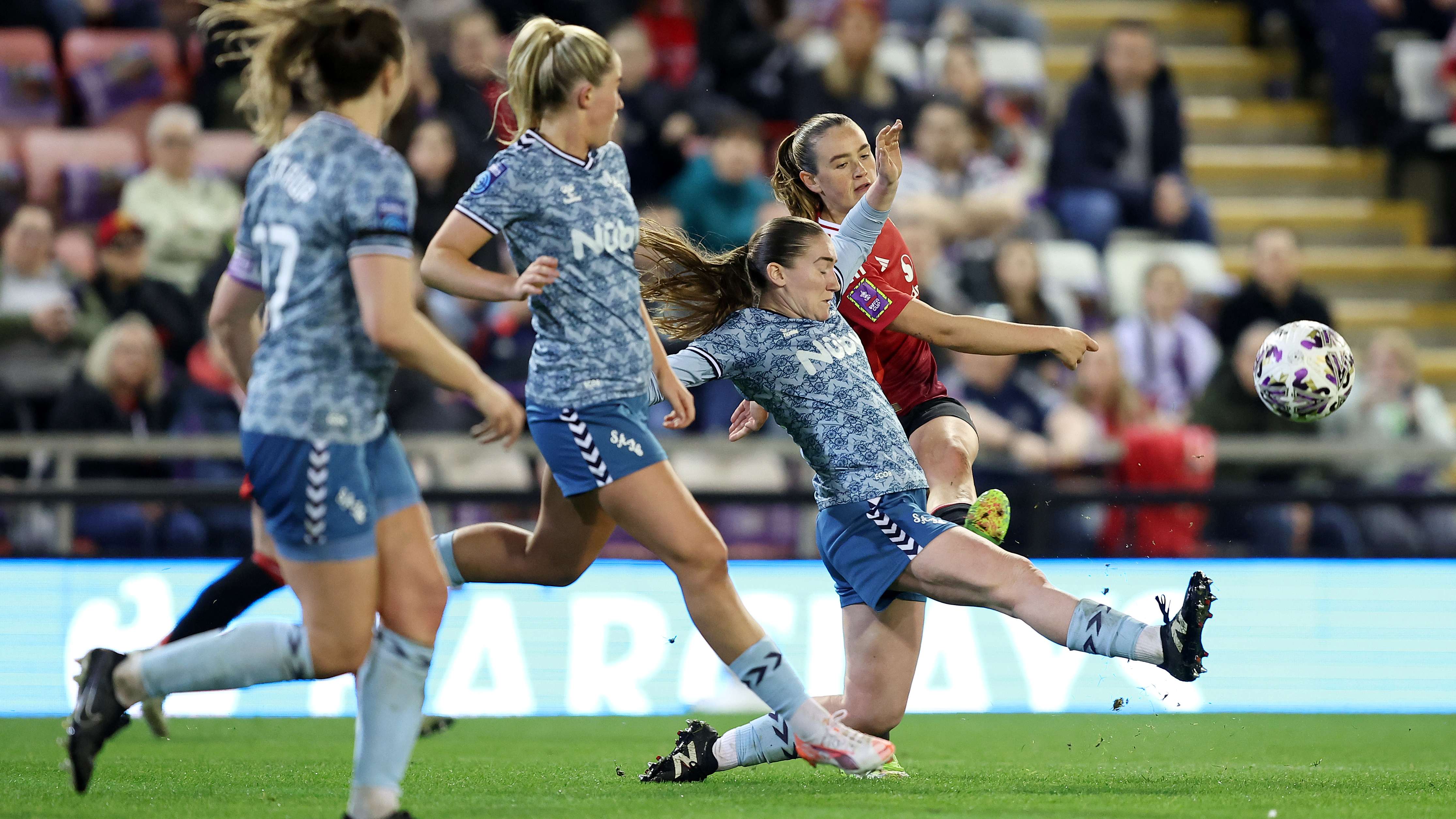 的多樣性 的多樣性